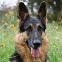 Lisza Anne McKee - @Quinntessa1Lisa - Twitter