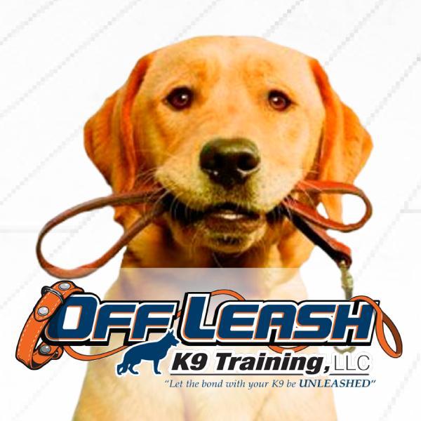 Providing Life Long, Off Leash, Obedience for any breed, any age, any issue. #dogtraining #dogtrainer #obedience #dog #doglovers #dogs #georgia #offleashk9