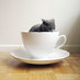 Korin (@fillerbunny) Twitter profile photo Korin (@fillerbunny) Twitter profile photo
