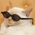 Twitter Profile image of @torishin