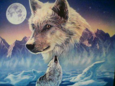 adamvalencia97's profile picture. 