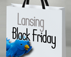 Tweeting from the frontlines of Lansing for Black Friday