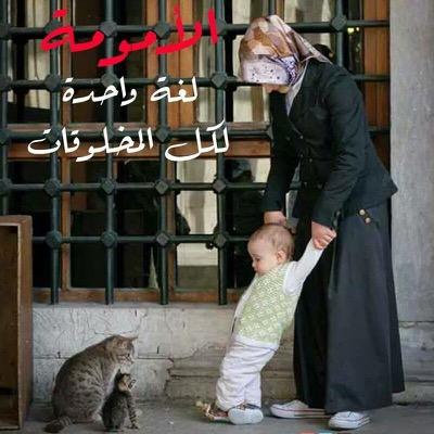 ﻻ اله اﻻ الله