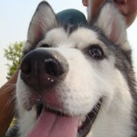 ahern (@ahern) 's Twitter Profile