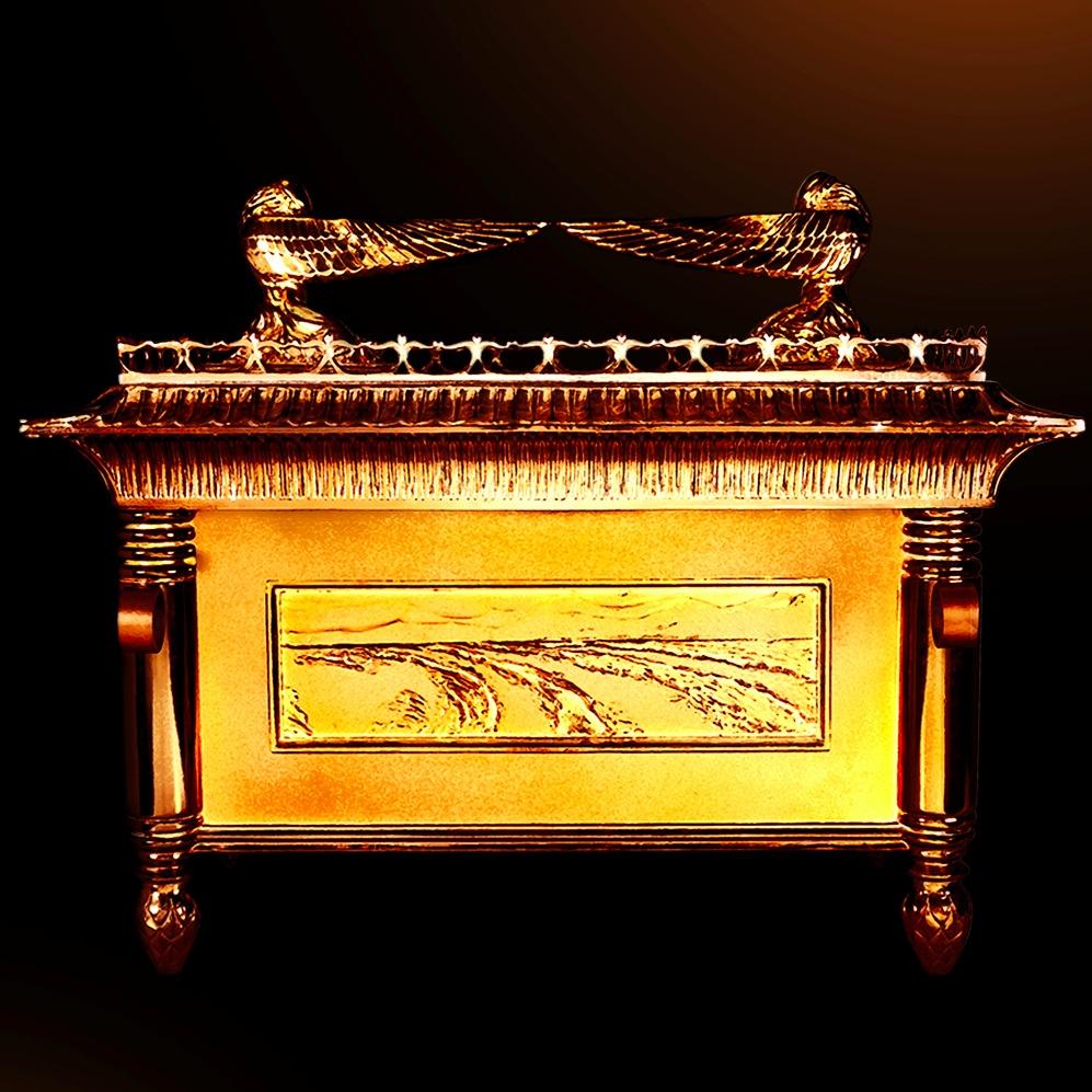 LHasheni's profile picture. 