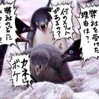 m1345991981's profile picture. 就活の面白い小ネタです！