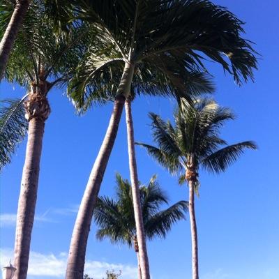 lgregorod's profile picture. Love Wins