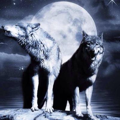 I'm in WolfSquadd, I edit, film, and cap. I use Sony Vegas Pro 13 Adobe After Effects CS6 Hauppauge Gaming Edition HDPvR Msg me on XBOX @ Footbaiis. #W00