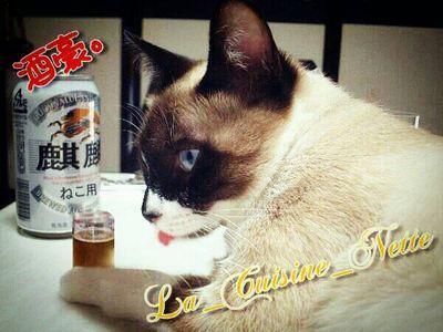 OW 　cod全作 mwr 　cyac   e-sports 　　　ps3(ID) La_Cuisine_Nette　　　　　　　　ps4(ID)　Crysta_R8　　　　　　　　　　　只やっとシャバに帰ってこれました　　