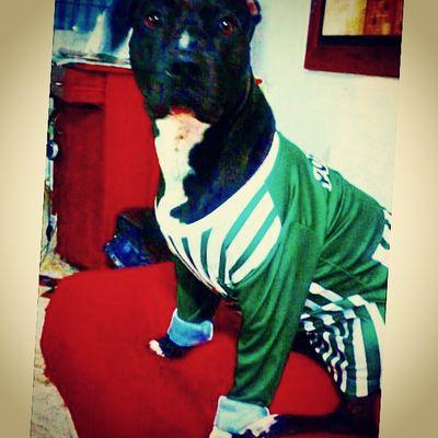 mi bebe con la camisa favorita de mi equipo