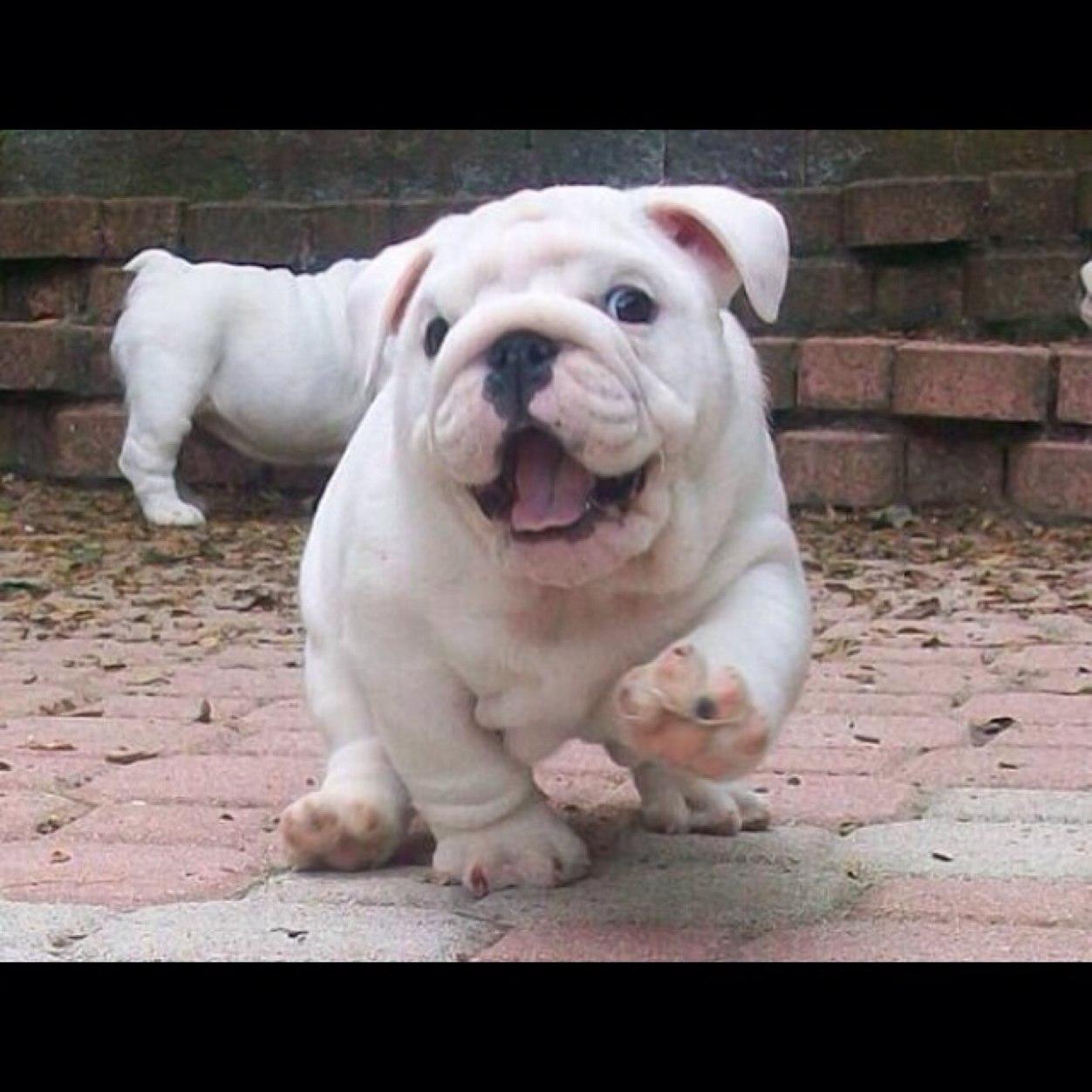 TidtyVip's profile picture. 