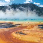 Yellowstone Park: Better than Glacier Park