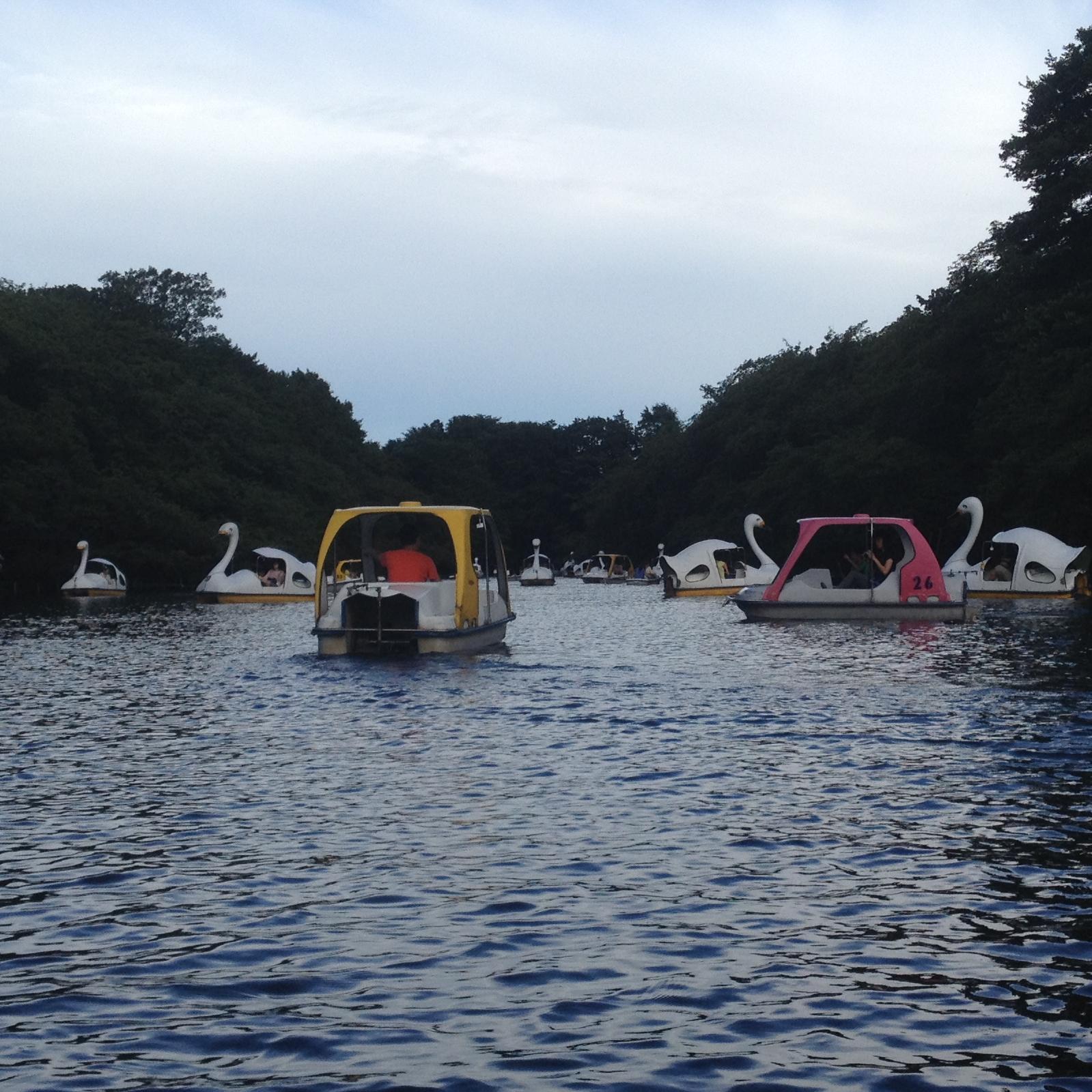 16kawadam's profile picture. We are on a #Quest spread the joy of traditional Japanese music/instruments! Help us out by retweeting and favoriting our tweets! Thanks!