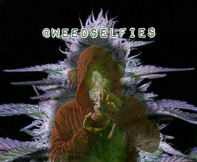 WeedSelfies Profile Picture