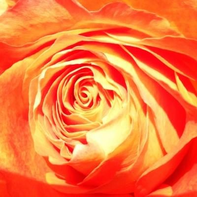 Aspiring to stay in the present at all times, cannot resist to attempt to make this world a better place. nutritionist, natural and organic skin care developer