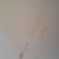 nasser (@nassser12349) 's Twitter Profile