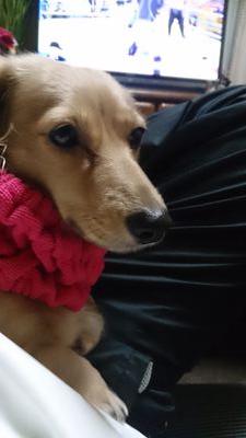 chibataiki's profile picture. 趣味を活力に