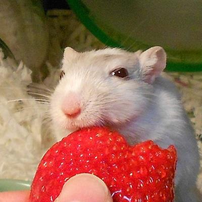 ゆうさんのプロフィール画像