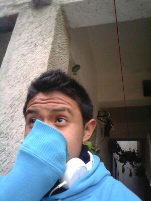 brayandiaz386's profile picture. 