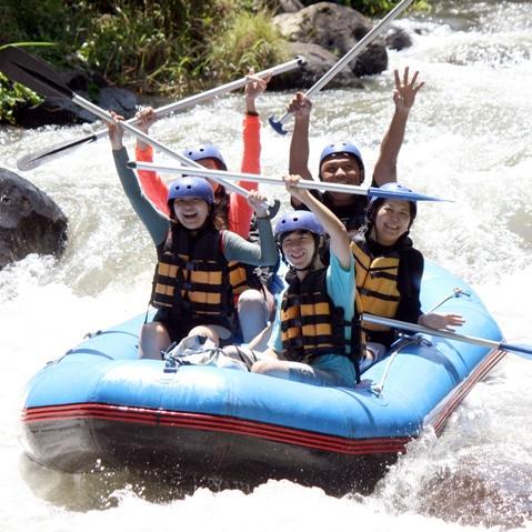 shelvykres's profile picture. 