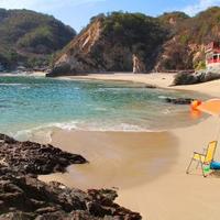 pichilinguillo mich (@pichilinguillo) 's Twitter Profile