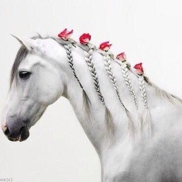 سبحآن الله وبحمده‍ .. سبحآن الله العظيم