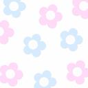 HANArin♡⁂ (@0524love_k) Twitter