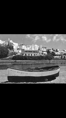 quiqueconile's profile picture. intentando crear un paraíso