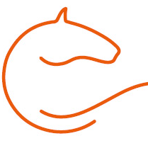 beingwithorses's profile picture. 