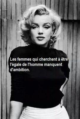 Free Lance Sales and Marketing Digital translation seo and SEM friendly French italian , English , Spanish .#MadameTrade