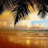 mo141214's profile picture. 