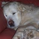 Keith Walden - @WaldenKA - Twitter