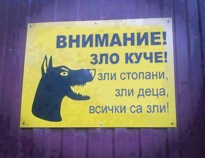 dinamoBBBSb's profile picture. 