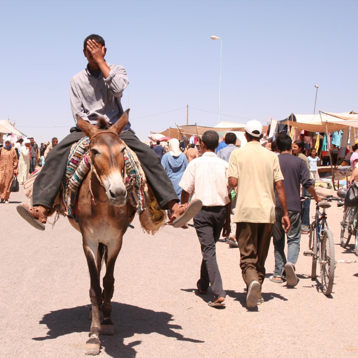 billymorgue's profile picture. Un folle senza un seguito -  Un'equipe di straordinari ghostwriters -  Una piccola biblioteca immaginaria -  Racconti, pseudobiblia e...