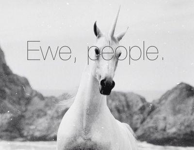 WildPandacorn's profile picture. pandacorn is the way.