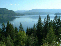 Enjoying the great Shuswap Lake and area. For all your real estate needs.
