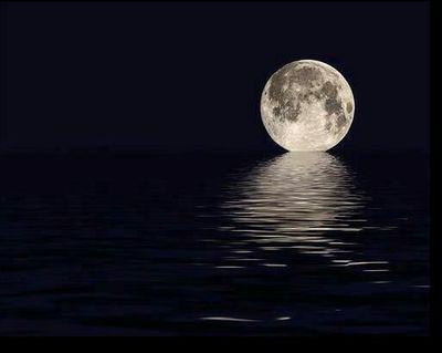 romli33's profile picture. 