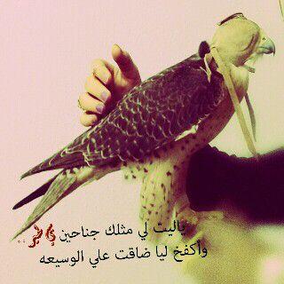 PIN: 525269BA