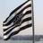 Galo13's profile image