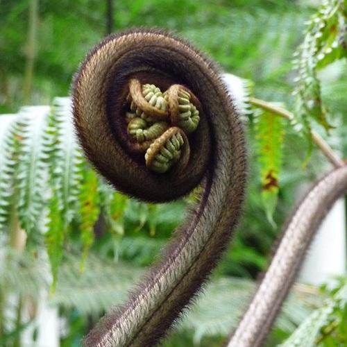 khconlnle's profile picture. Fine wine enthusiast and  video game developer (at Microsoft  full disclosure.)  A somewhat niche combination I'd imagine..