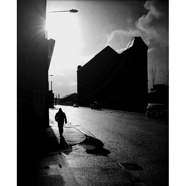 davidstewart991's profile picture. 