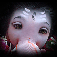 oopy_rajesh's profile picture. 