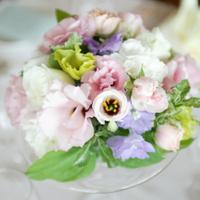 白桜（Shira_wo／しらを） (@fw_blossoms) Twitter profile photo