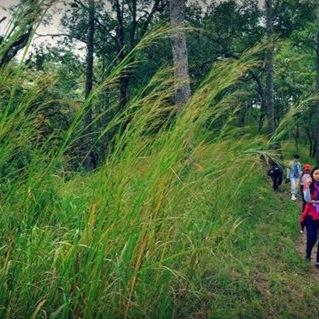 sai_sand's profile picture. Carpe Diem