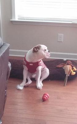 biggreen1997's profile picture. 