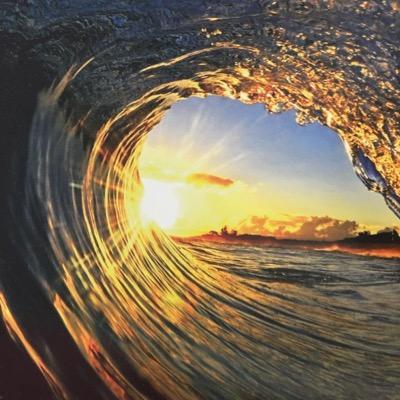 syoji_2's profile picture. 