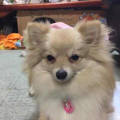 まめ☆こうめ🌟こたろう🌙こはる