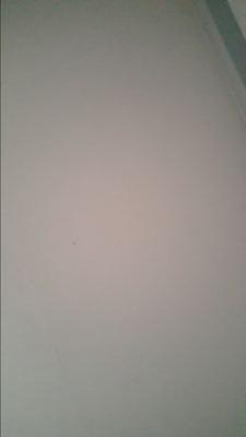 Tommymiedema's profile picture. 