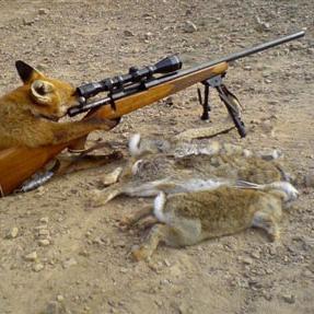 alnasseria's profile picture. لا تعتمد على الأفكار الجاهزة..