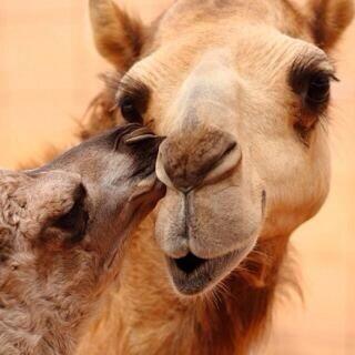 3ood2002's profile picture. بطن الردي مايمتلي بالمعاريف مهما تسوي فيه من طيب ضايّع